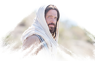 Discerning Jesus web